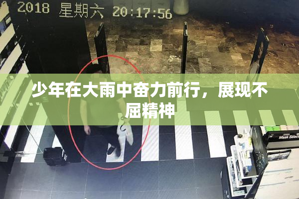 少年在大雨中奋力前行，展现不屈精神