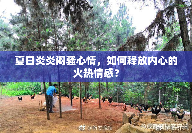 夏日炎炎闷骚心情，如何释放内心的火热情感？