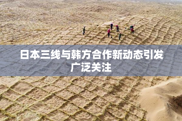 日本三线与韩方合作新动态引发广泛关注