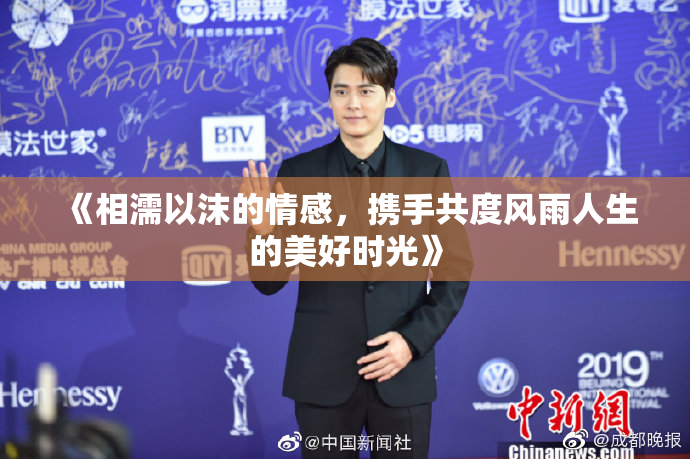《相濡以沫的情感，携手共度风雨人生的美好时光》