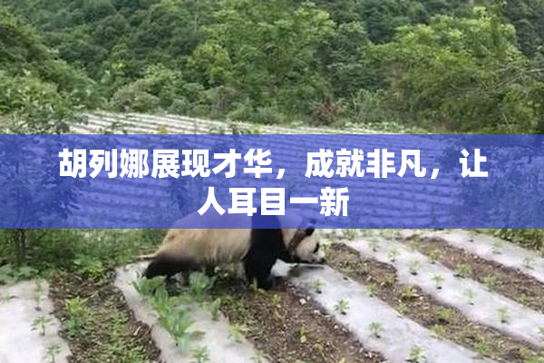 胡列娜展现才华，成就非凡，让人耳目一新