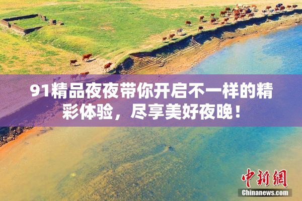 91精品夜夜带你开启不一样的精彩体验，尽享美好夜晚！
