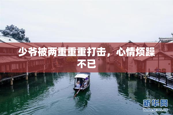 少爷被两重重重打击，心情烦躁不已