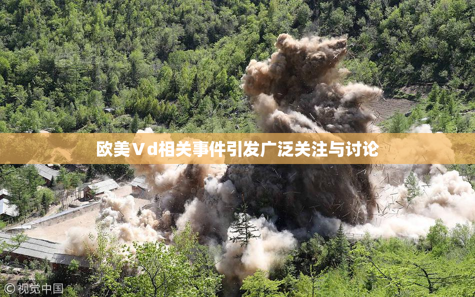 欧美Ⅴd相关事件引发广泛关注与讨论