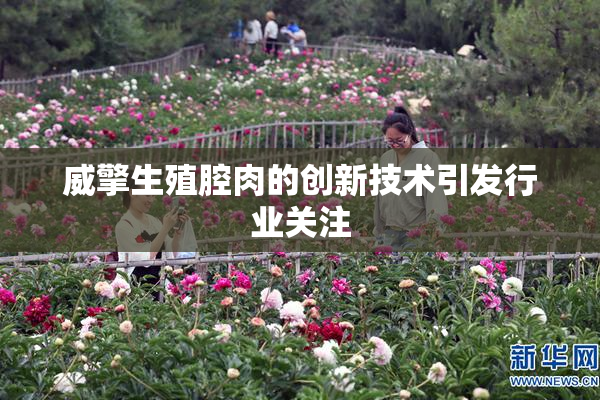 威擎生殖腔肉的创新技术引发行业关注