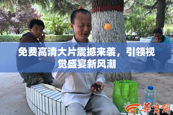免费高清大片震撼来袭，引领视觉盛宴新风潮