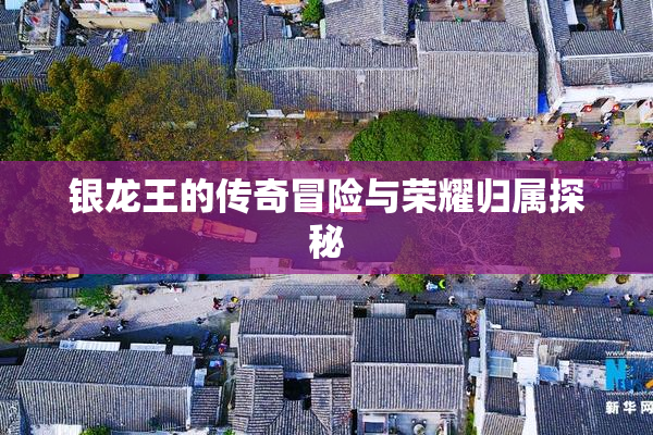 银龙王的传奇冒险与荣耀归属探秘