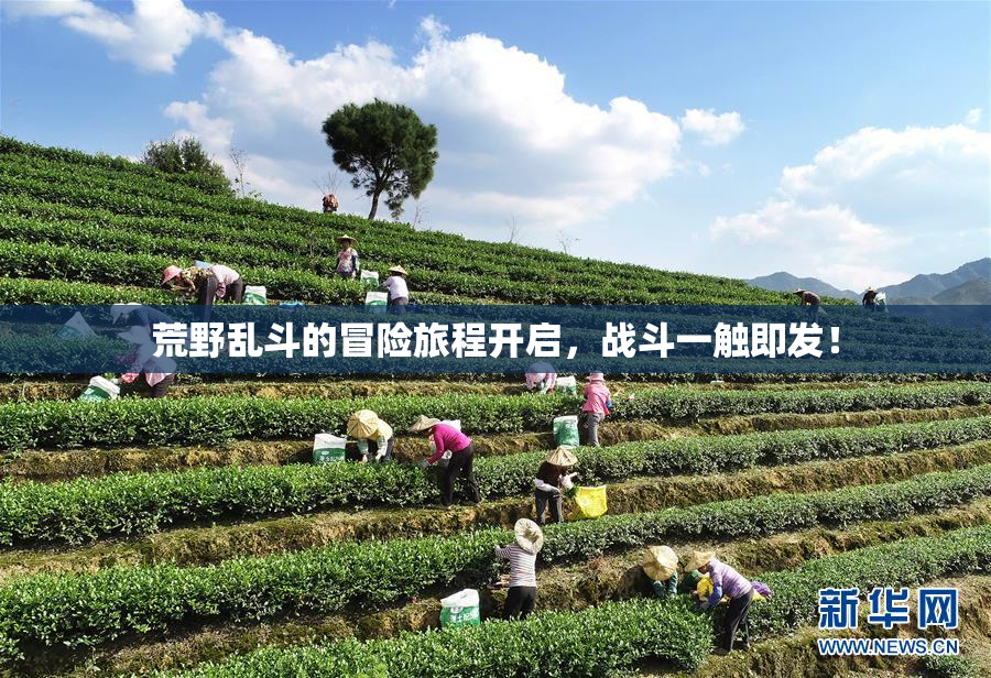 荒野乱斗的冒险旅程开启，战斗一触即发！