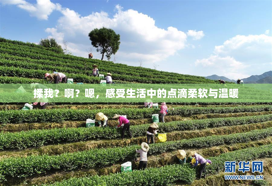 揉我？啊？嗯，感受生活中的点滴柔软与温暖