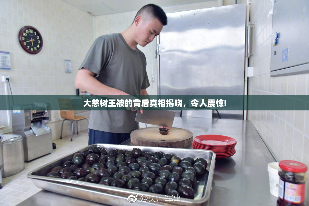 大慈树王被的背后真相揭晓，令人震惊!