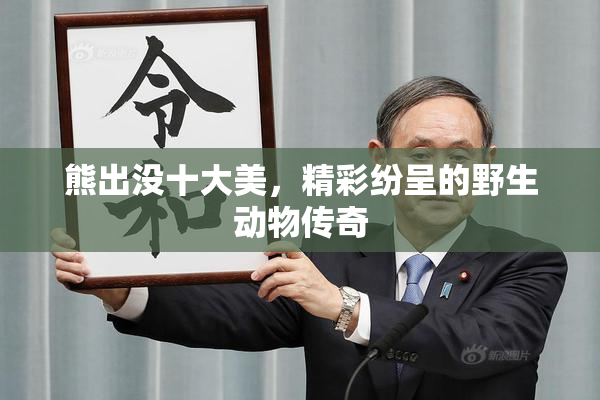 熊出没十大美，精彩纷呈的野生动物传奇