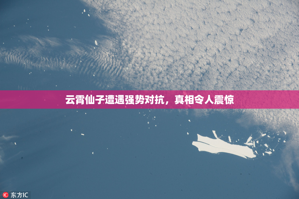 云霄仙子遭遇强势对抗，真相令人震惊