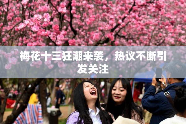 梅花十三狂潮来袭，热议不断引发关注
