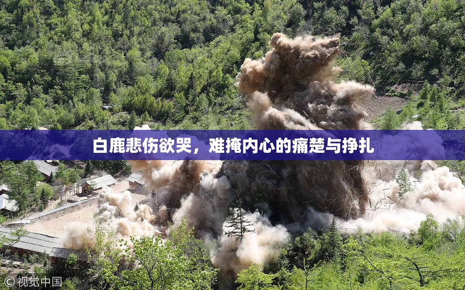 白鹿悲伤欲哭，难掩内心的痛楚与挣扎