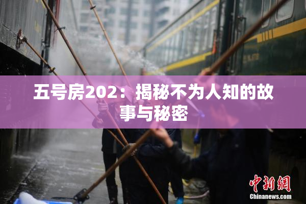 五号房202：揭秘不为人知的故事与秘密