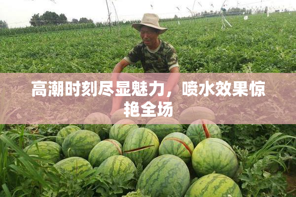 高潮时刻尽显魅力，喷水效果惊艳全场