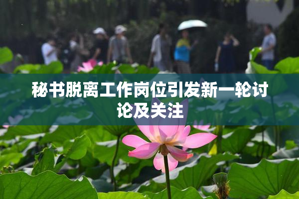 秘书脱离工作岗位引发新一轮讨论及关注
