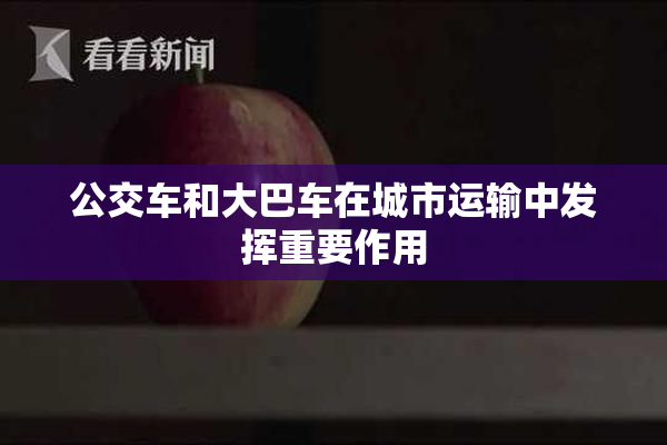 公交车和大巴车在城市运输中发挥重要作用