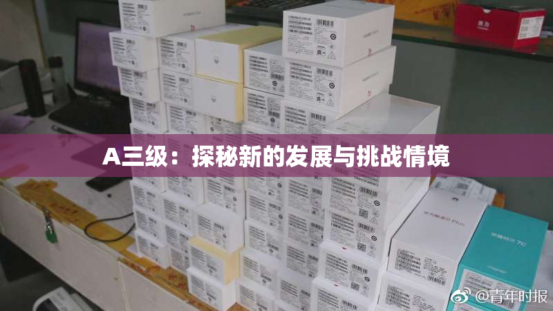 A三级：探秘新的发展与挑战情境