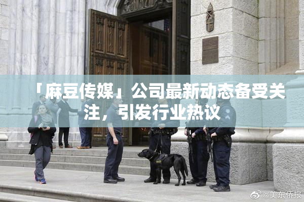 「麻豆传媒」公司最新动态备受关注，引发行业热议