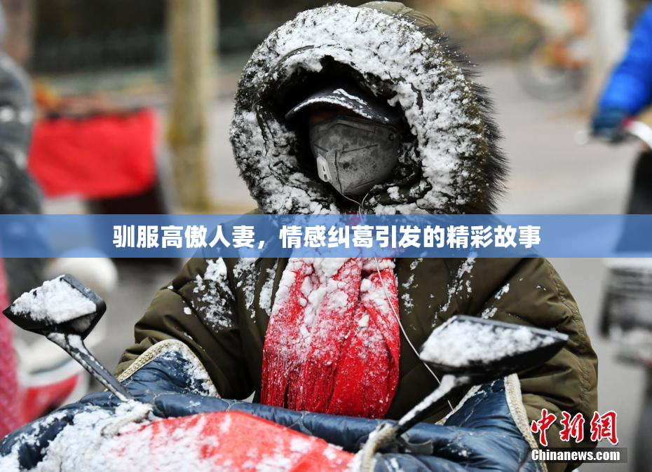 驯服高傲人妻，情感纠葛引发的精彩故事