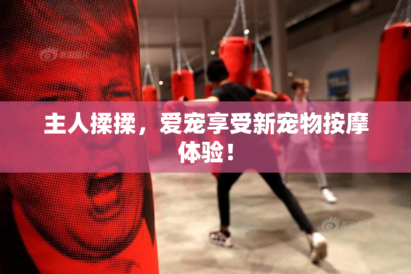 主人揉揉，爱宠享受新宠物按摩体验！