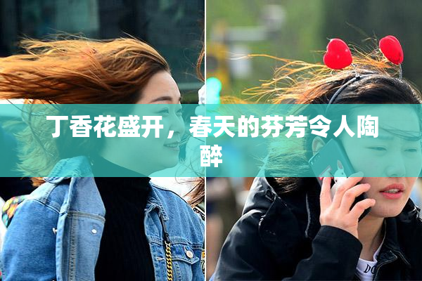 丁香花盛开，春天的芬芳令人陶醉