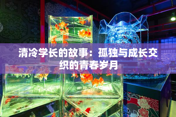 清冷学长的故事：孤独与成长交织的青春岁月