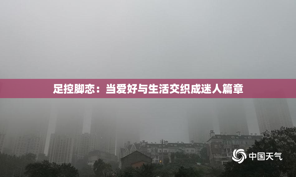 足控脚恋：当爱好与生活交织成迷人篇章