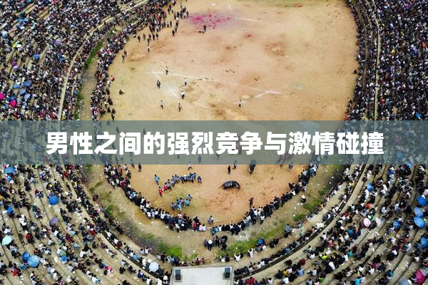 男性之间的强烈竞争与激情碰撞