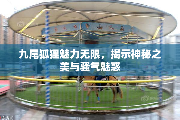 九尾狐狸魅力无限，揭示神秘之美与骚气魅惑