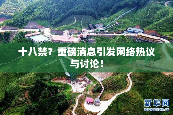 十八禁？重磅消息引发网络热议与讨论！