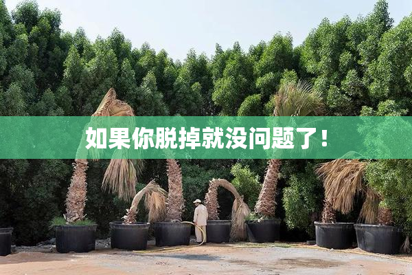 如果你脱掉就没问题了！