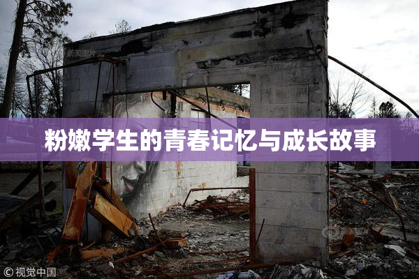 粉嫩学生的青春记忆与成长故事