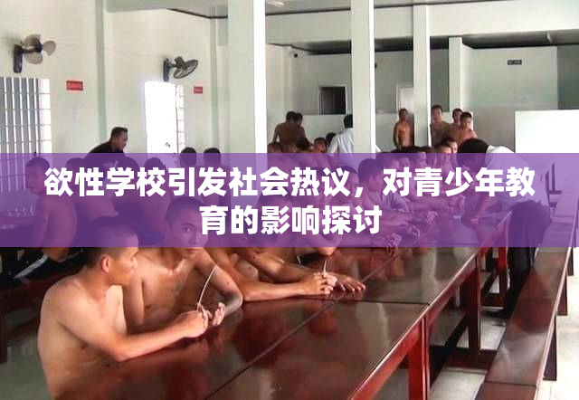 欲性学校引发社会热议，对青少年教育的影响探讨