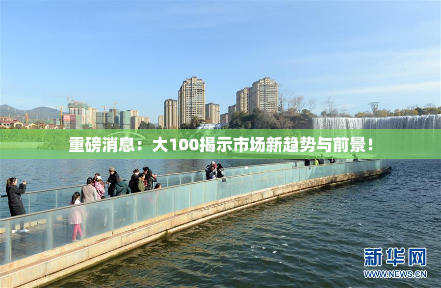 重磅消息：大100揭示市场新趋势与前景！