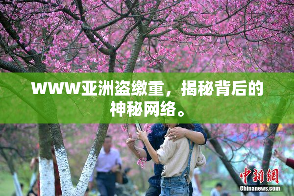 WWW亚洲盗缴重，揭秘背后的神秘网络。