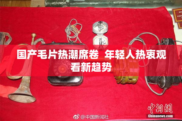 国产毛片热潮席卷  年轻人热衷观看新趋势