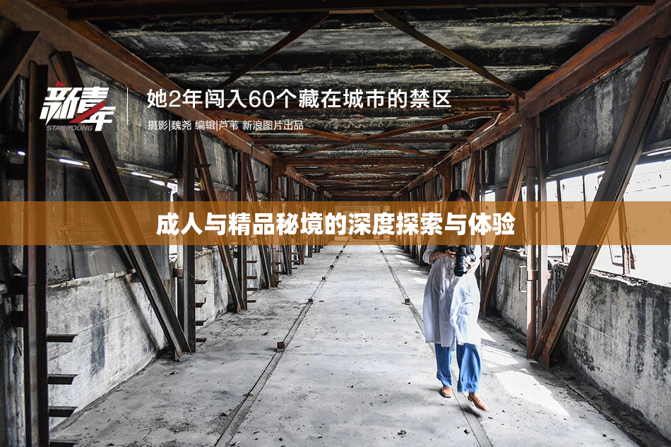成人与精品秘境的深度探索与体验