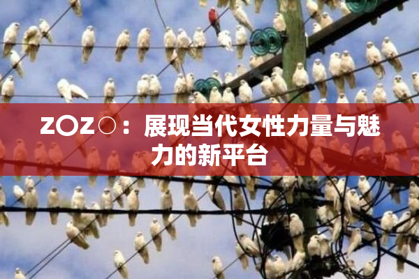 Z〇Z○：展现当代女性力量与魅力的新平台