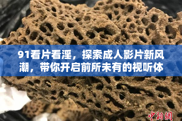 91看片看淫，探索成人影片新风潮，带你开启前所未有的视听体验！