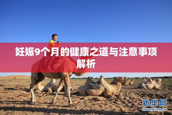 妊娠9个月的健康之道与注意事项解析