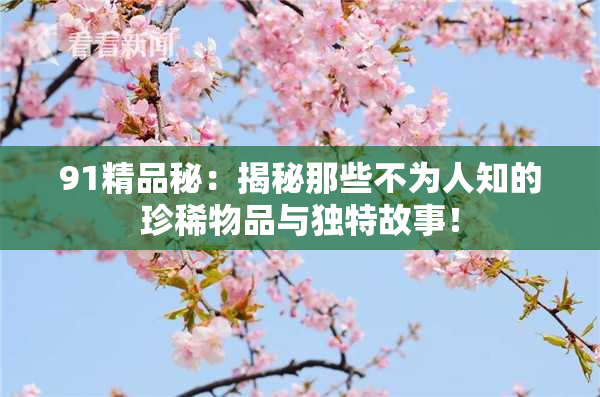 91精品秘：揭秘那些不为人知的珍稀物品与独特故事！