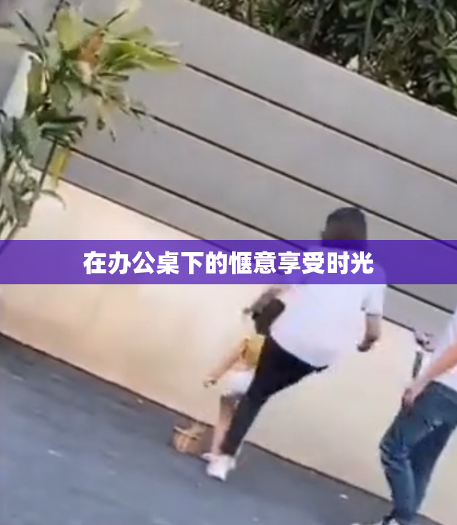在办公桌下的惬意享受时光