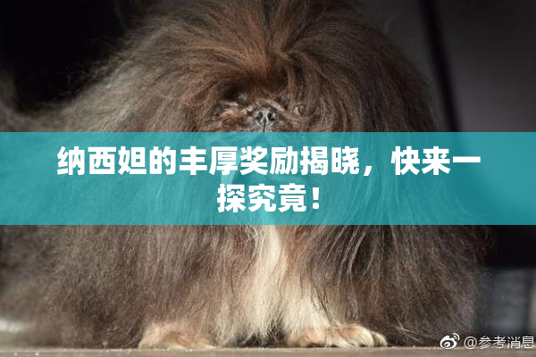 纳西妲的丰厚奖励揭晓，快来一探究竟！
