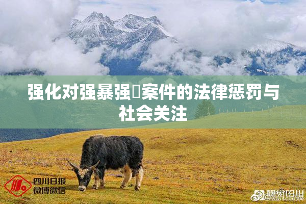强化对强暴强姦案件的法律惩罚与社会关注
