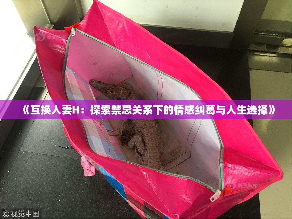《互换人妻H：探索禁忌关系下的情感纠葛与人生选择》