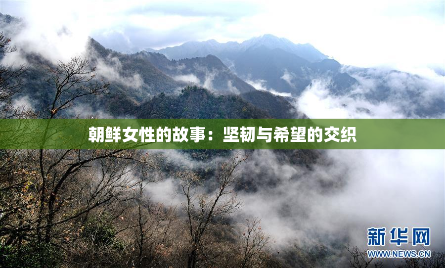 朝鲜女性的故事：坚韧与希望的交织