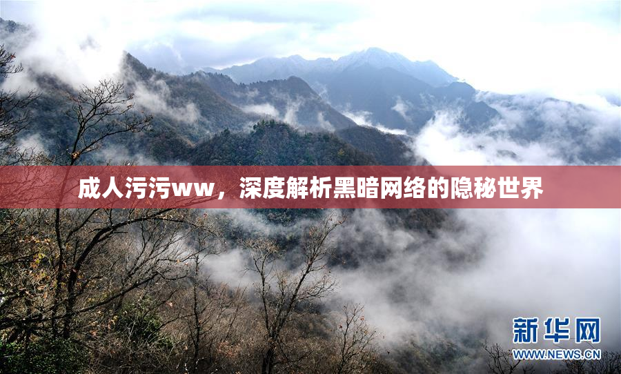 成人污污ww，深度解析黑暗网络的隐秘世界