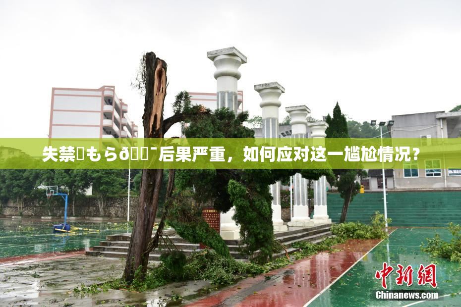 失禁✿もら🔯后果严重，如何应对这一尴尬情况？
